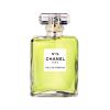 Chanel N°19 Woda perfumowana dla kobiet Do napełnienia 50 ml Bez celofanu