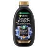 Garnier Botanic Therapy Magnetic Charcoal &amp; Black Seed Oil Szampon do włosów dla kobiet 250 ml