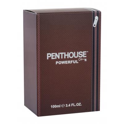 Penthouse Powerful Woda toaletowa dla mężczyzn 100 ml