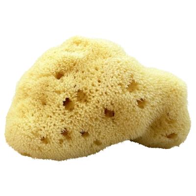 Kii-Baa Organic Silky Sea Sponge 8-10 cm Akcesoria do kąpieli 1 szt