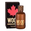Dsquared2 Wood Woda toaletowa dla mężczyzn 100 ml