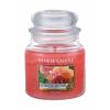 Yankee Candle Sun-Drenched Apricot Rose Świeczka zapachowa 411 g