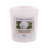 Yankee Candle Camellia Blossom Świeczka zapachowa 49 g
