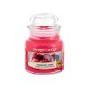Yankee Candle Roseberry Sorbet Świeczka zapachowa 104 g