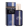 Iceberg Change The Flow Woda toaletowa dla mężczyzn 30 ml