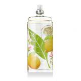 Elizabeth Arden Green Tea Citron Freesia Woda toaletowa dla kobiet 100 ml tester