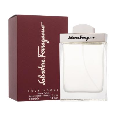 Ferragamo Pour Homme Woda toaletowa dla mężczyzn 100 ml
