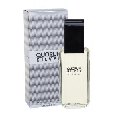 Antonio Puig Quorum Silver Woda toaletowa dla mężczyzn 100 ml