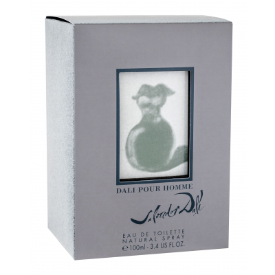 Salvador Dali Pour Homme Woda toaletowa dla mężczyzn 100 ml