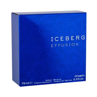 Iceberg Effusion Man Woda po goleniu dla mężczyzn 75 ml