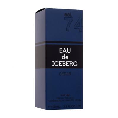 Iceberg Eau de Iceberg Cedar Woda toaletowa dla mężczyzn 100 ml