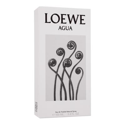 Loewe Agua Woda toaletowa 100 ml