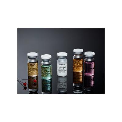 Stayve Booster Starter Kit Zestaw serum do twarzy Whitening Stem Cell Culture Ampoule 3 x 8 ml + serum do twarzy Aqua Stem Cell Culture Ampoule 3 x 8 ml + serum do twarzy EGF Peptide Gold Ampoule 2 x 8 ml + serum do twarzy Salmon DNA 2 x 8 ml + serum do twarzy AC Stem Cell 2 x 8 ml