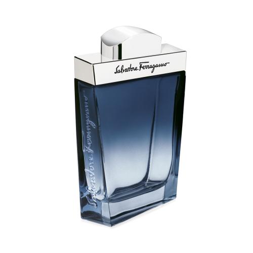 Ferragamo Subtil Pour Homme woda toaletowa dla mężczyzn 100 ml