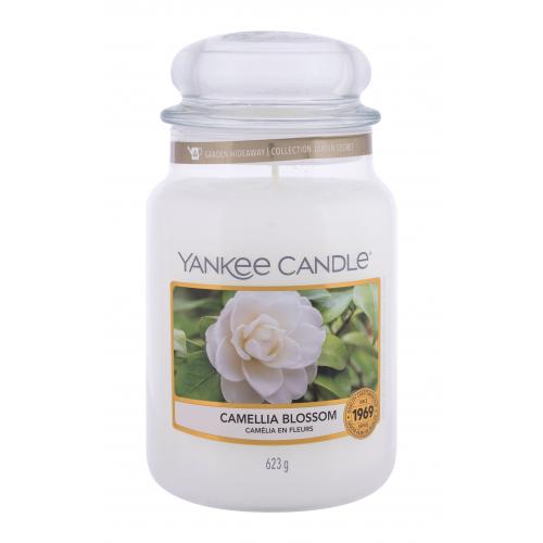 Yankee Candle Camellia Blossom świeca zapachowa 623 g