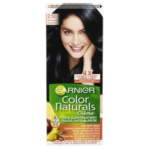 Garnier Color Naturals farba do włosów odcień 2.10 Blueberry Black 1 szt.