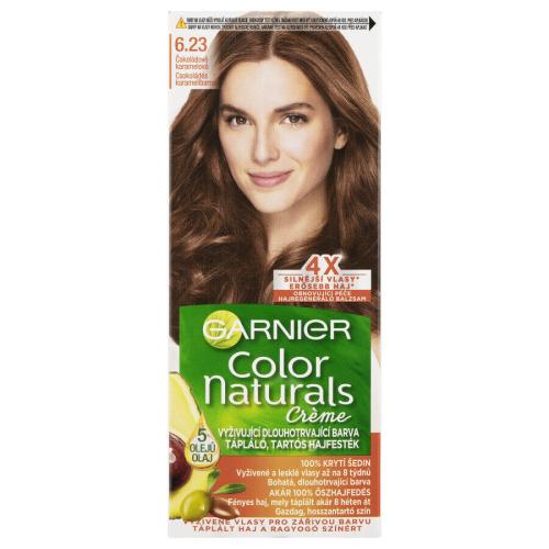 Garnier Color Naturals Creme farba do włosów odcień 6.23 Crystal Fizz
