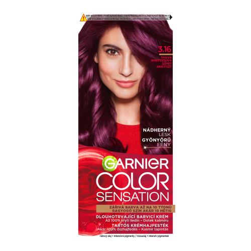 Garnier Color Sensation farba do włosów odcień 3.16 Amethyste 1 szt.