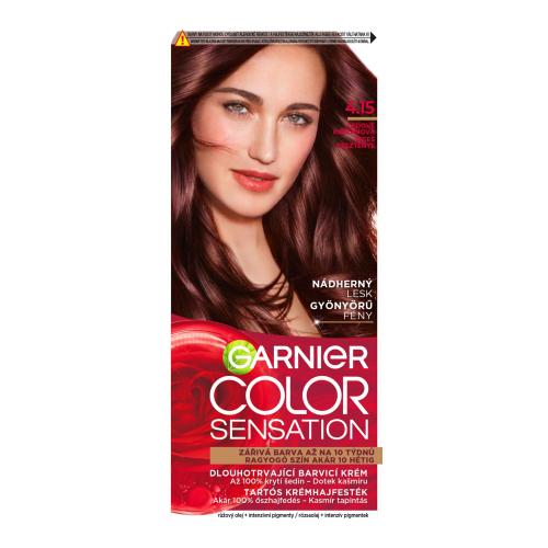 Garnier Color Sensation farba do włosów odcień 4.15 Icy Chestnut 1 szt.