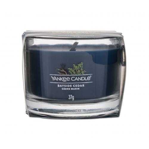Yankee Candle Bayside Cedar sampler świeca 37 g