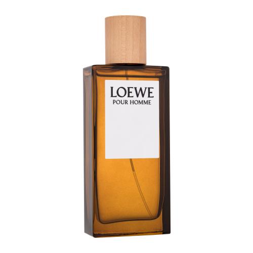 Loewe Loewe Pour Homme woda toaletowa dla mężczyzn 100 ml