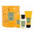 Acqua di Parma Colonia Futura Zestaw Edc 100 ml + Żel pod prysznic 75 ml + Dezodorant 50 ml