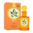 Monotheme Book of Citruses Lime Woda toaletowa 100 ml