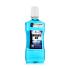 Zidac Laboratories Absolute Ice Whitening Mouthwash Płyn do płukania ust 500 ml