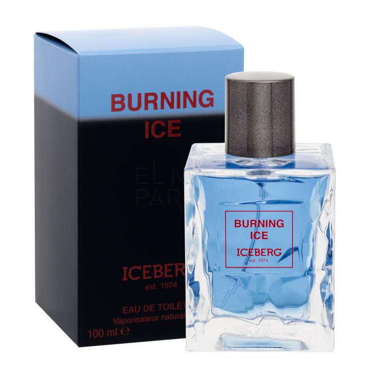 Iceberg Burning Ice Woda toaletowa dla mężczyzn 100 ml