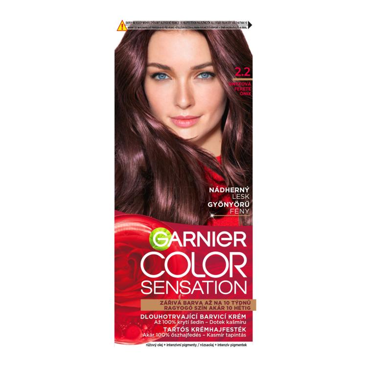 Garnier Color Sensation Farba do włosów dla kobiet 40 ml Odcień 2,2 Onyx