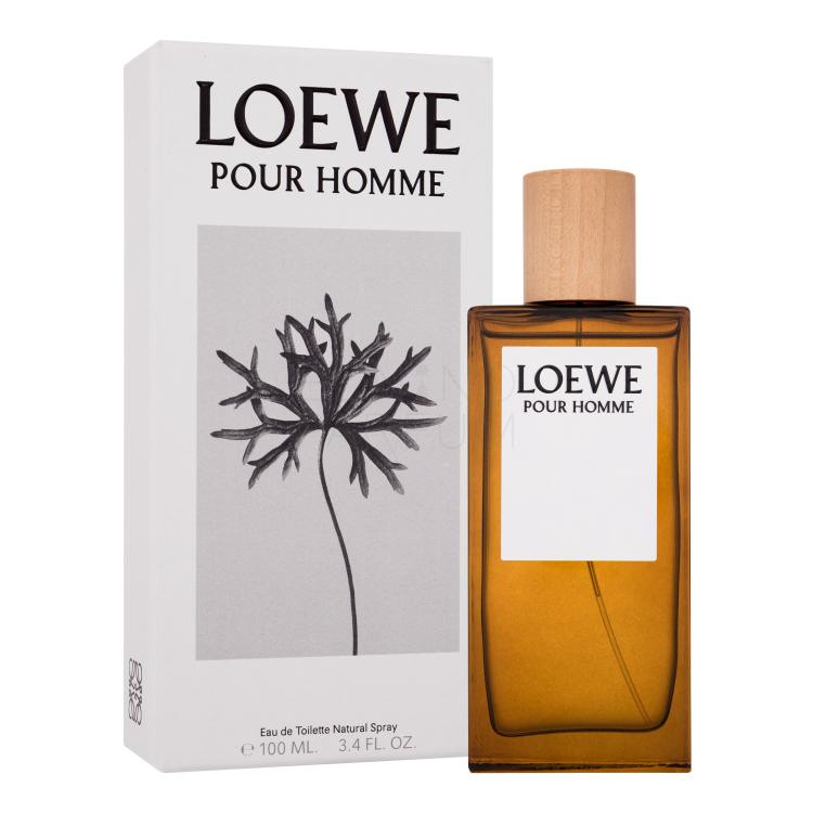 Loewe Pour Homme Woda toaletowa dla mężczyzn 100 ml