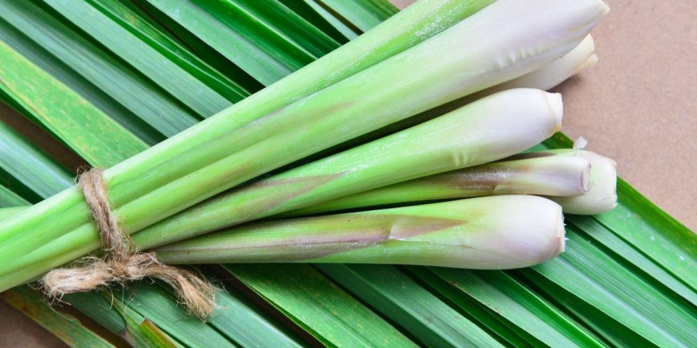 Olejek z trawy cytrynowej