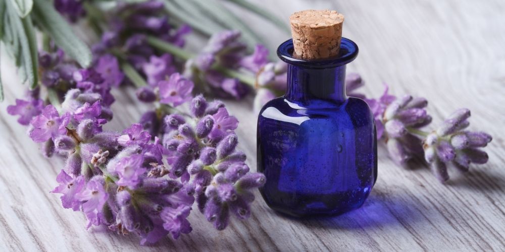 Olejowa kuracja na porost włosów