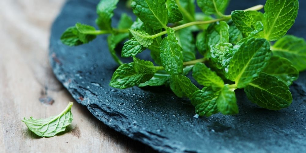 Olejek z mięty pieprzowej