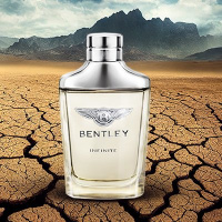 Bentley Infinite Intense